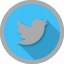 Twitter Button